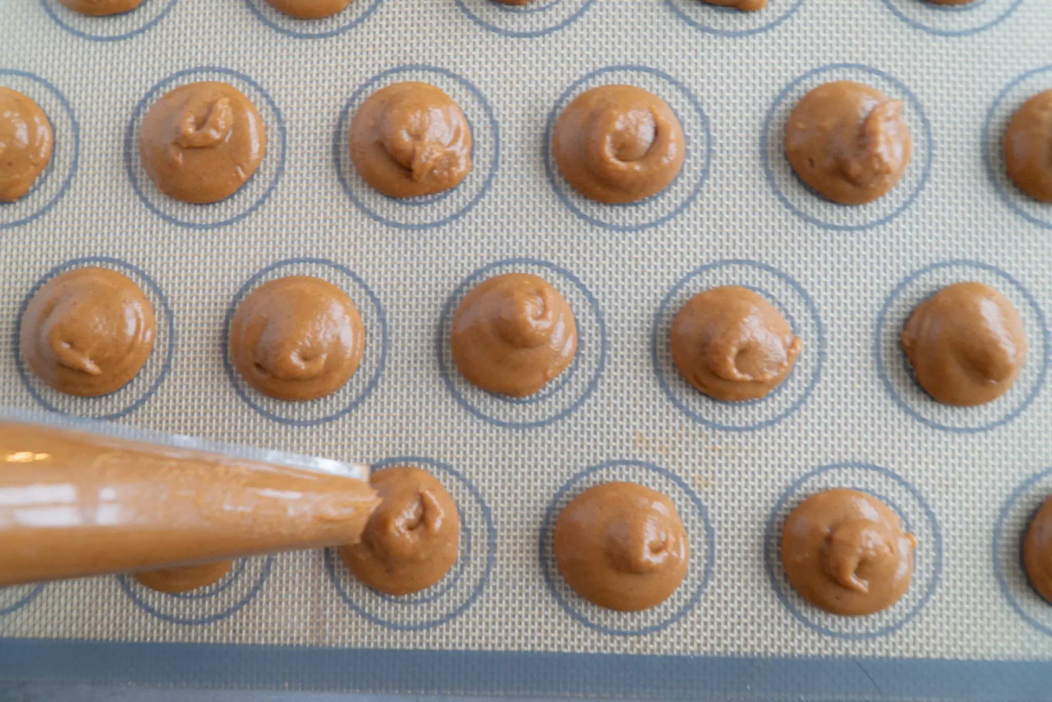 HARVEST GINGER COOKIES RECIPE ON A BAKING PAN