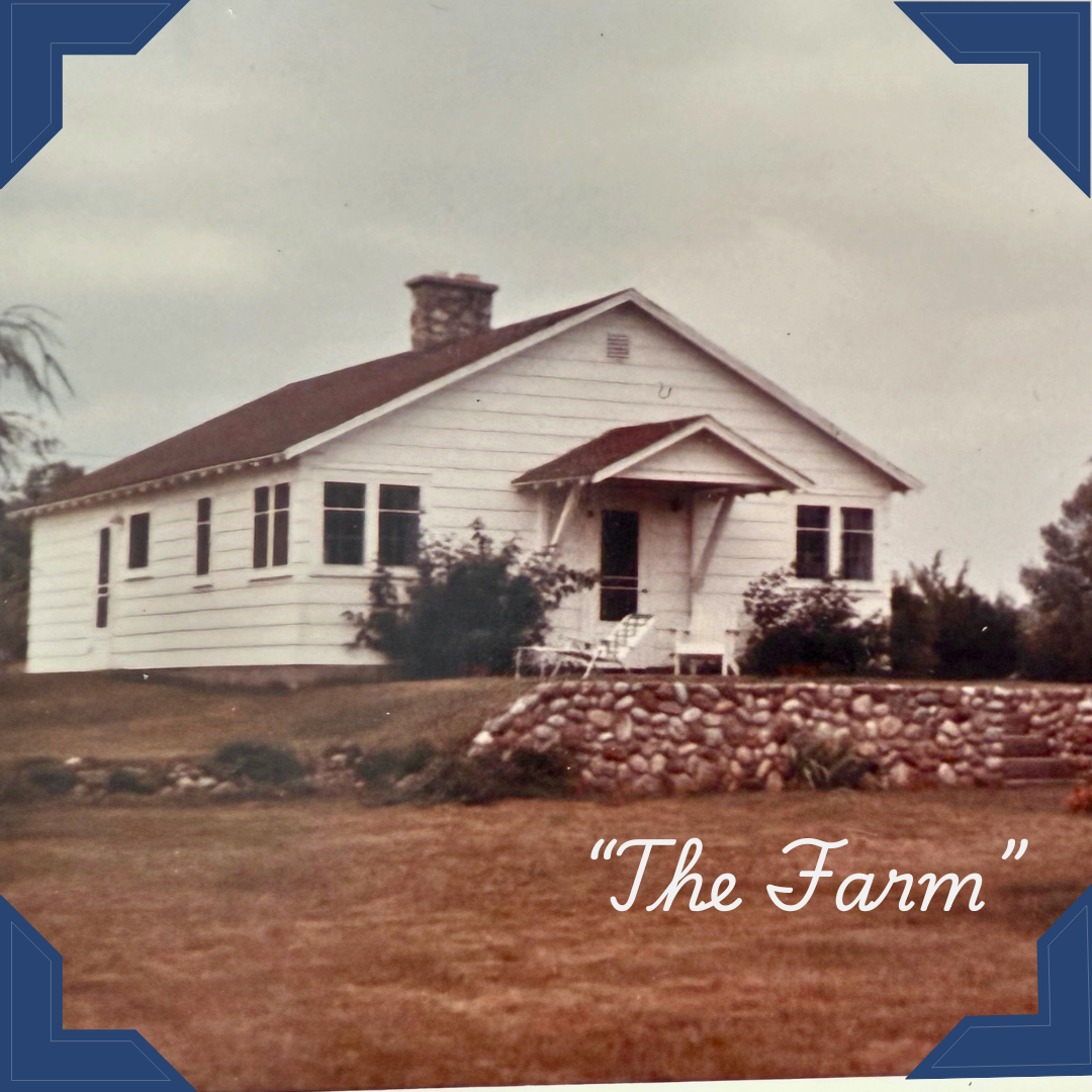 The Farm