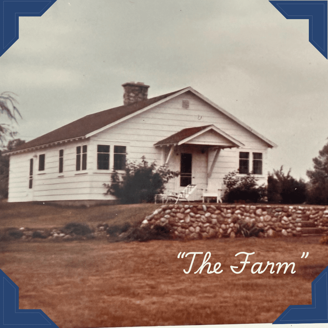 The Farm The Farm