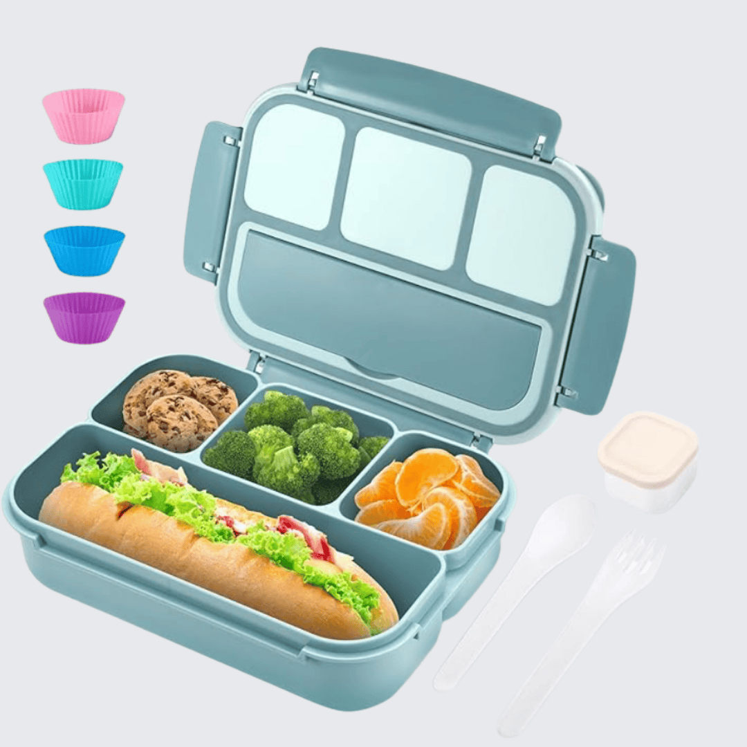 Aqua Bento Box