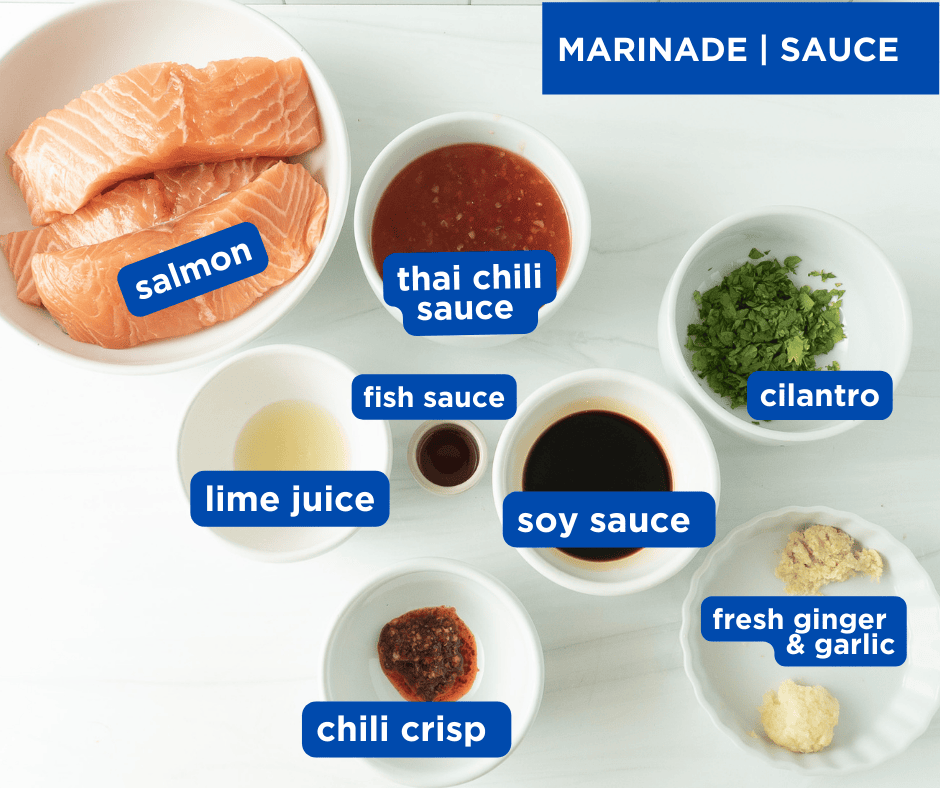 Fresh salmon fillets with marinade ingredients for Thai salmon rice bowls, arranged overhead